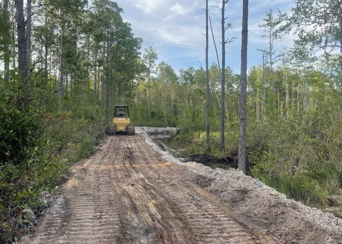 land clearing & grading project to put in a road in trenton fl by Cannon Site prep
